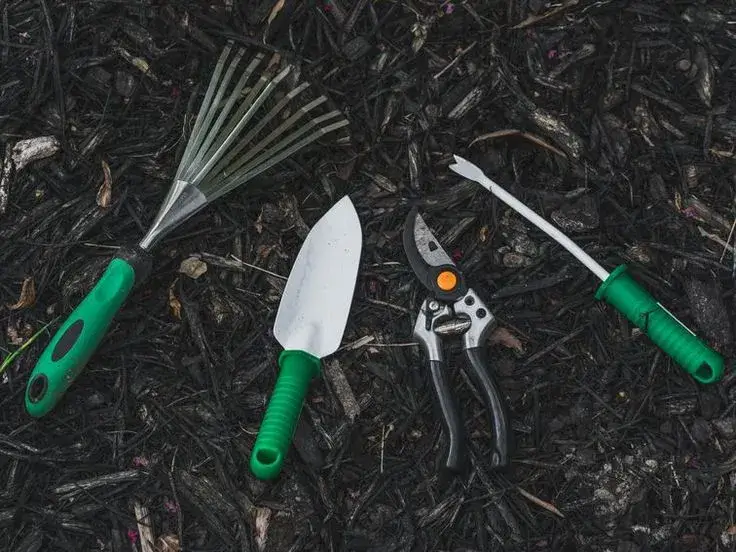 Plant care tools