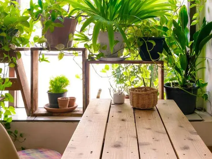 Indoor garden