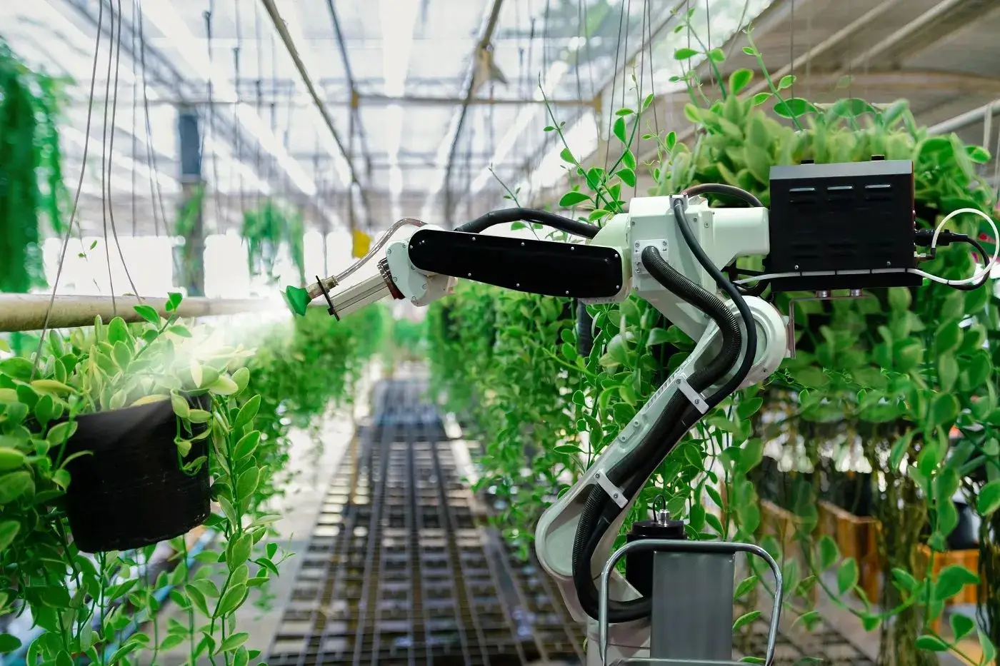 Smart plant technology