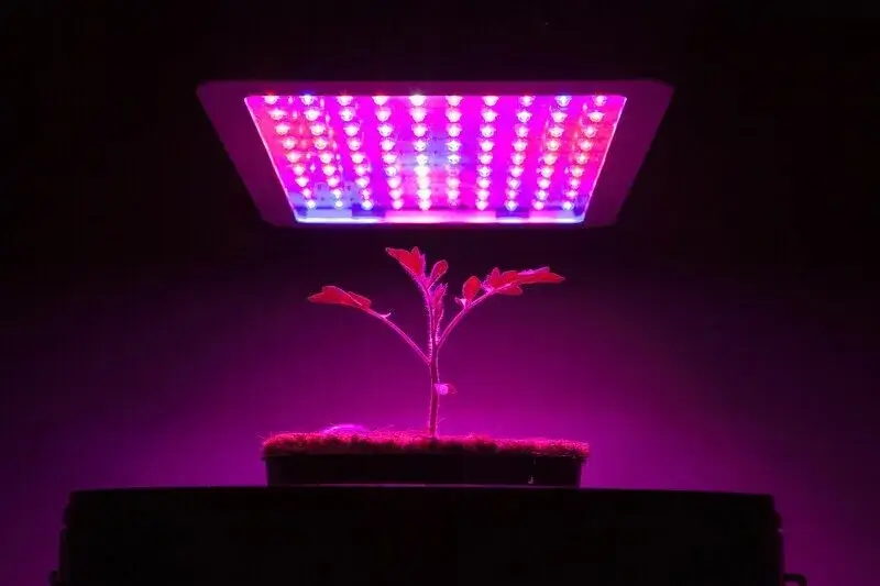 Grow light system